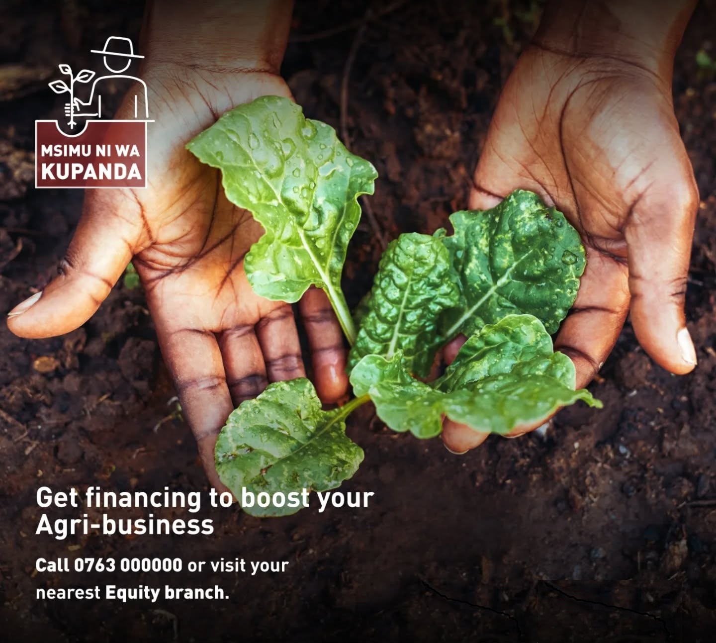 Equity Bank Empowers Young Kenyan Farmers to Turn Challenges into Opportunities