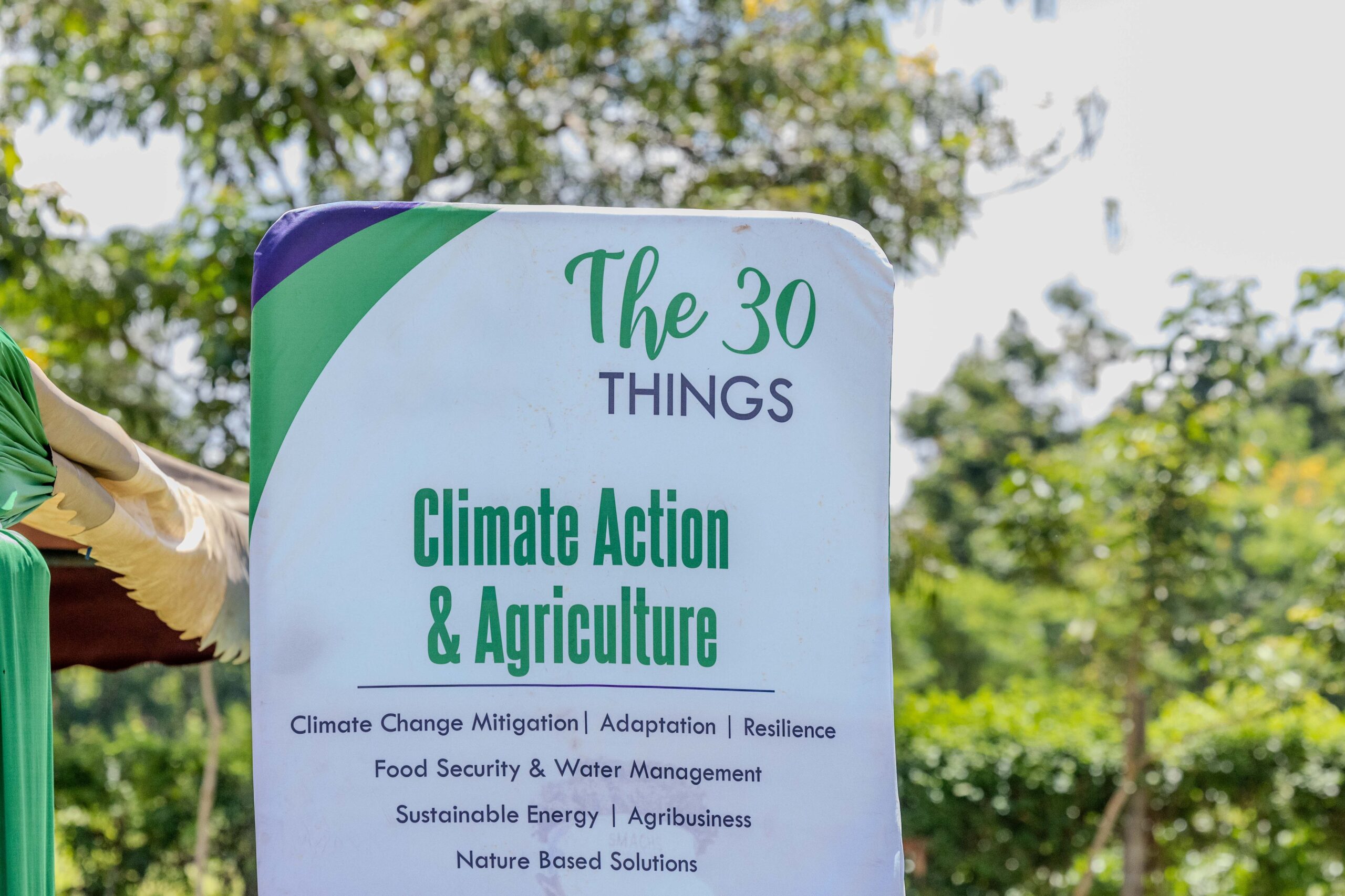 Reflections from Siaya – Youth in Agriculture, Growing Ideas and Food