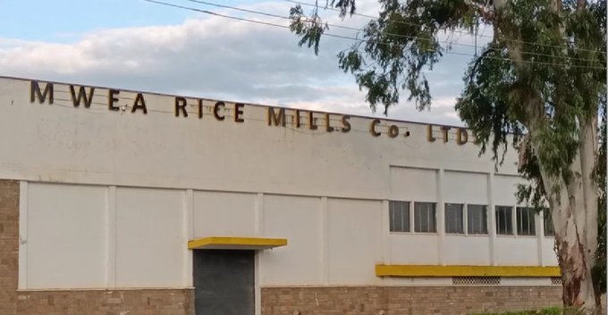 Kerugoya High Court Extends Order Halting Mwea Rice Mills Privatisation